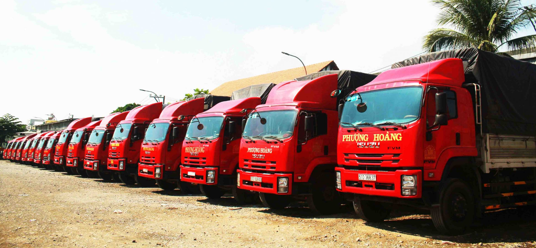 Vận Tải Phượng Hoàng 